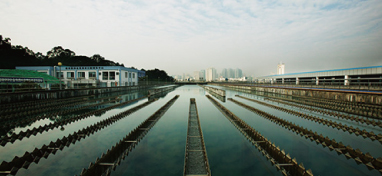 兩會(huì)聲音：城市“新洼地”之痛 如何補(bǔ)齊城市地下管網(wǎng)短板？